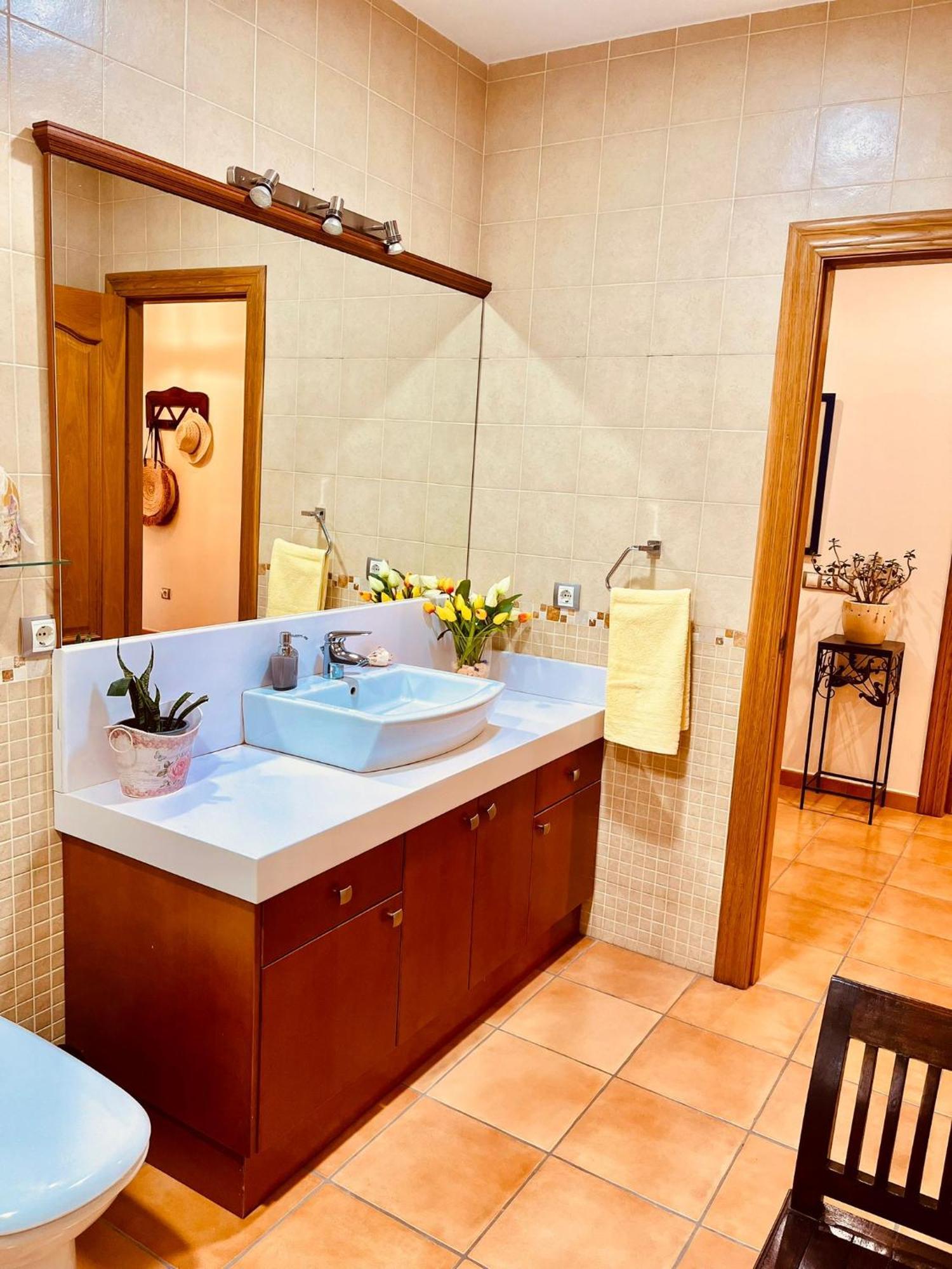 Chalet La Calma En Lorca 외부 사진